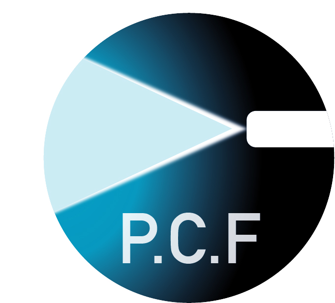 precise core fiber icon